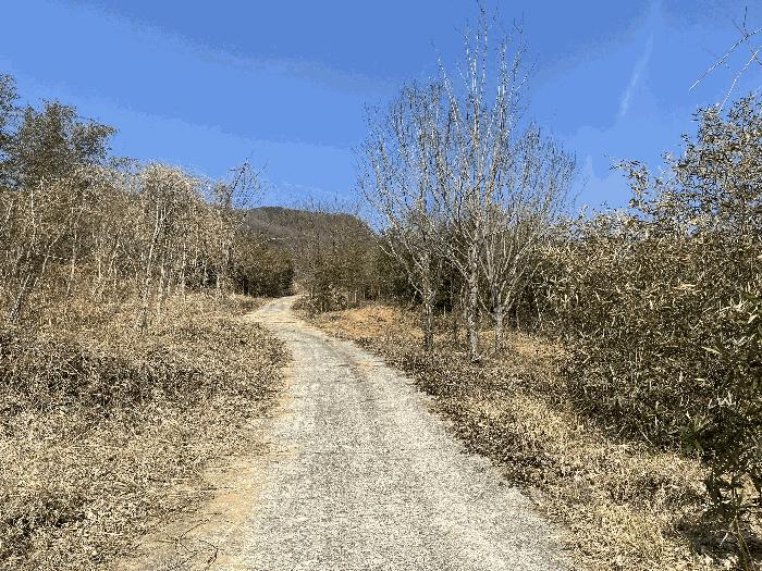 경상남도 하동군 악양면 평사리 916-1 임야 경매 사진 6