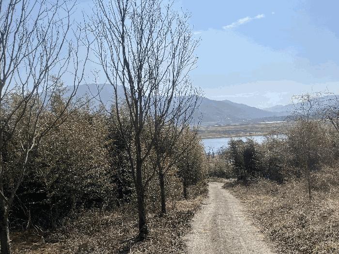 경상남도 하동군 악양면 평사리 916-1 임야 경매 사진 7