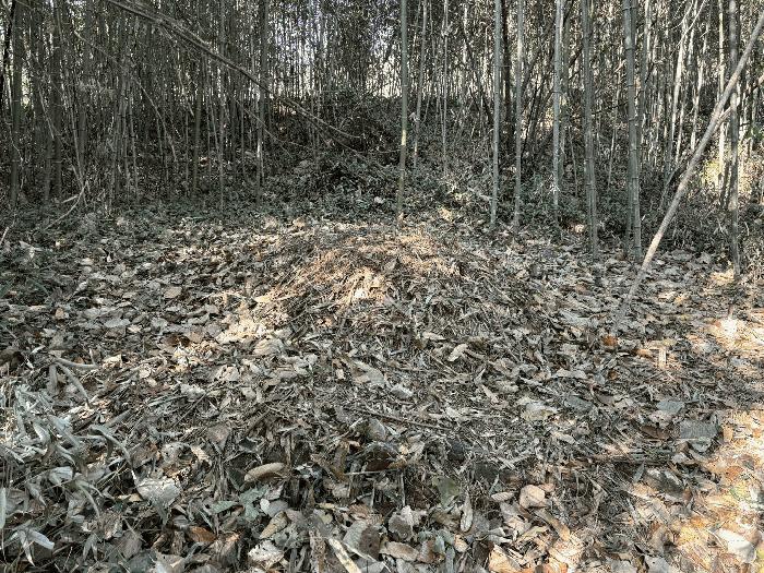 경상남도 하동군 악양면 평사리 916-1 임야 경매 사진 9