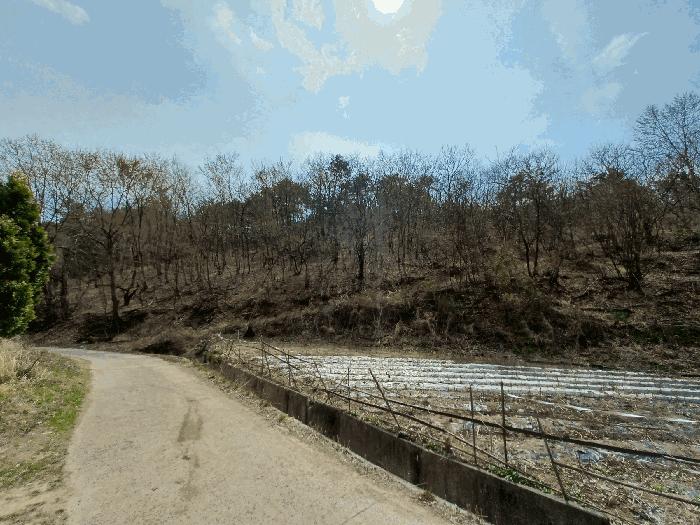 경상남도 진주시 사봉면 사곡리 산54 임야 경매 사진 2