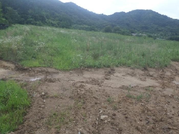 전북특별자치도 완주군 구이면 평촌리 산323 임야 경매 사진 8