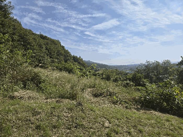 전북특별자치도 임실군 신평면 가덕리 976-3 답 경매 사진 7