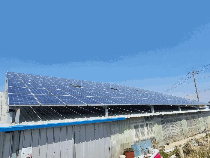 전북특별자치도 군산시 옥산면 옥산리 169-23 창고 경매 사진 5