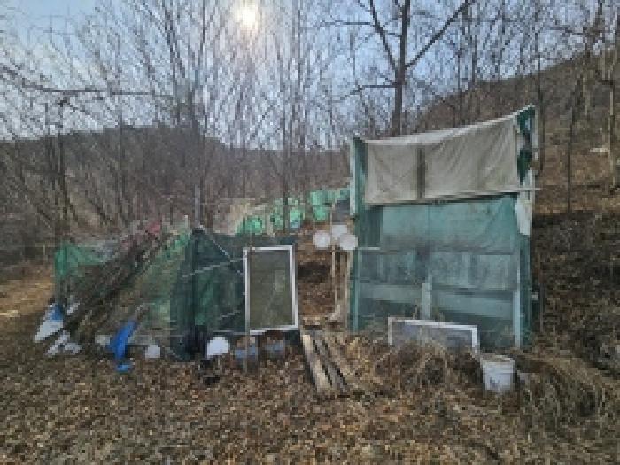 전라남도 여수시 소라면 현천리 산77 임야 경매 사진 32