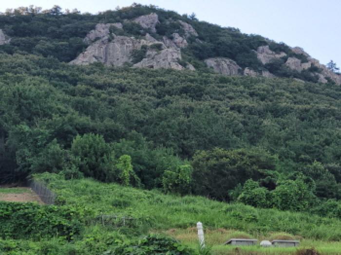 전라남도 고흥군 금산면 석정리 1735 임야 경매 사진 21
