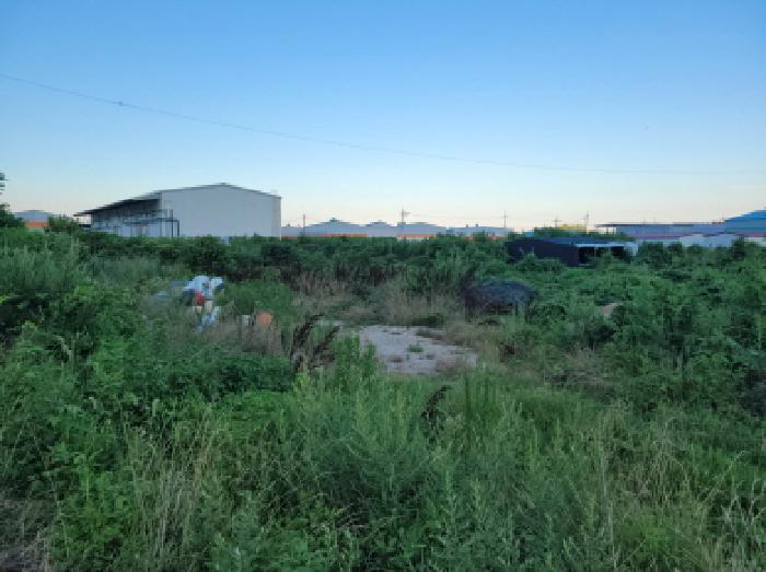 전라남도 고흥군 금산면 석정리 1735 임야 경매 사진 25