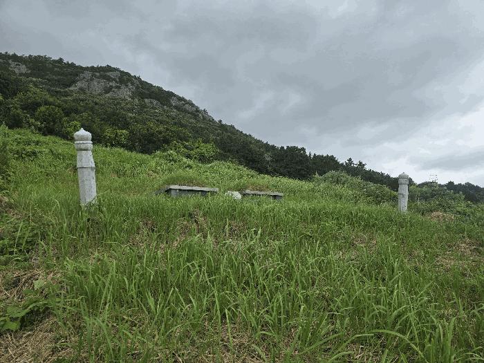 전라남도 고흥군 금산면 석정리 1735 임야 경매 사진 9