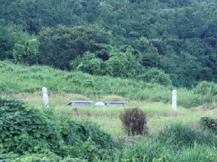 전라남도 고흥군 금산면 석정리 1743 임야 경매 사진 31