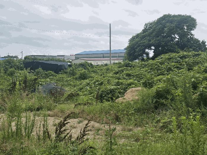 전라남도 고흥군 금산면 석정리 1745 임야 경매 사진 10