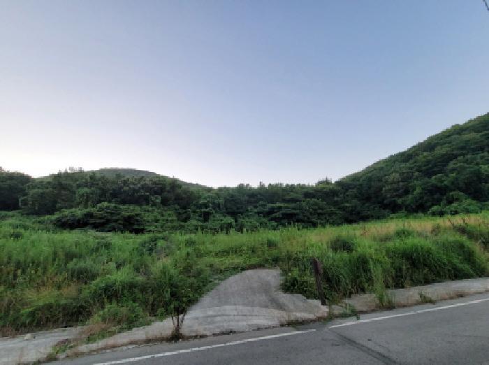 전라남도 고흥군 금산면 석정리 1745 임야 경매 사진 32