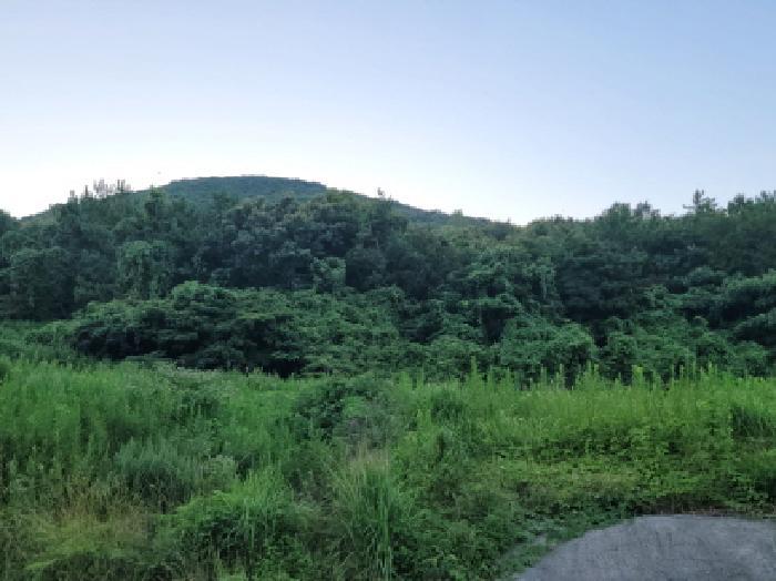 전라남도 고흥군 금산면 오천리 295-1 전 경매 사진 28