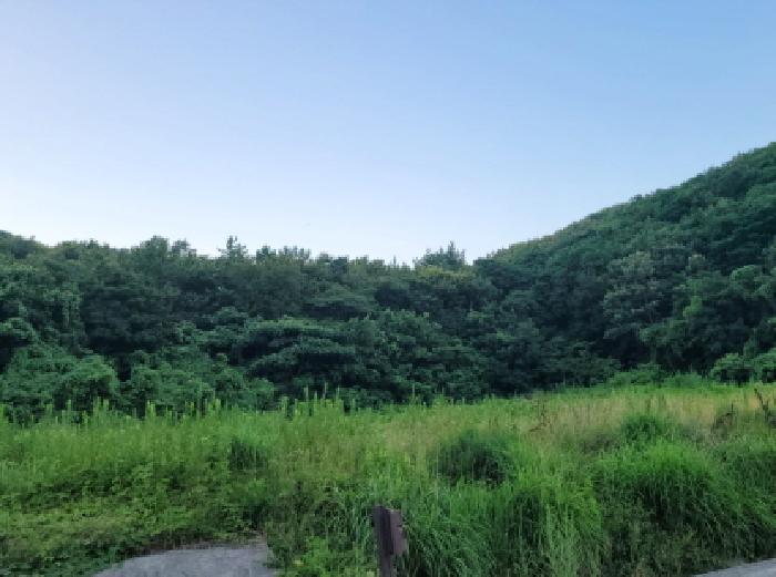 전라남도 고흥군 금산면 오천리 295-1 전 경매 사진 29