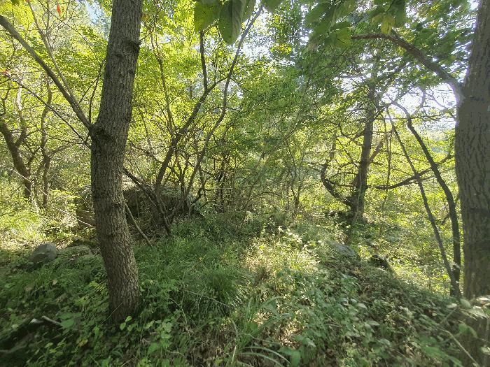 전라남도 고흥군 고흥읍 호동리 1455 답 경매 사진 3