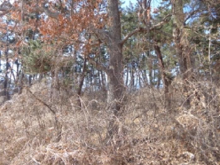 충청남도 태안군 근흥면 용신리 587-4 근린시설 경매 사진 28