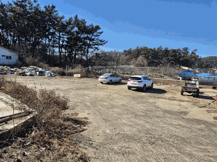 충청남도 태안군 근흥면 용신리 587-4 근린시설 경매 사진 3