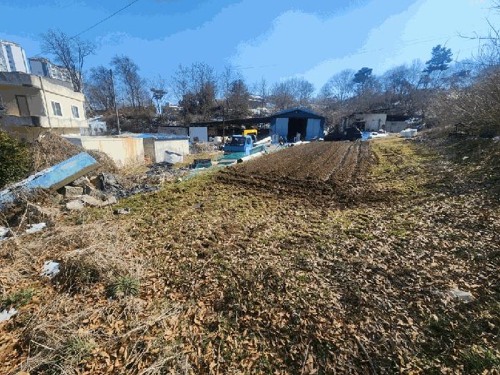충청남도 당진시 채운동 643 전 경매 사진 2