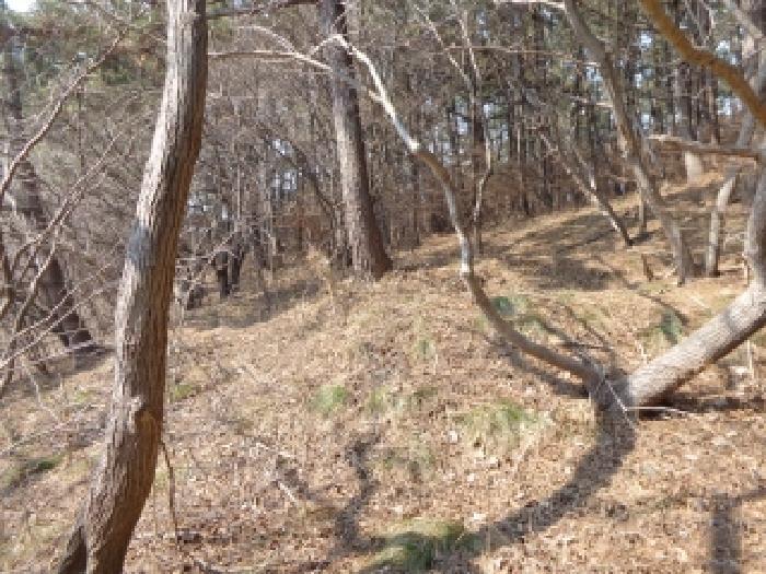 충청남도 서산시 팔봉면 고파도리 산3 임야 경매 사진 11