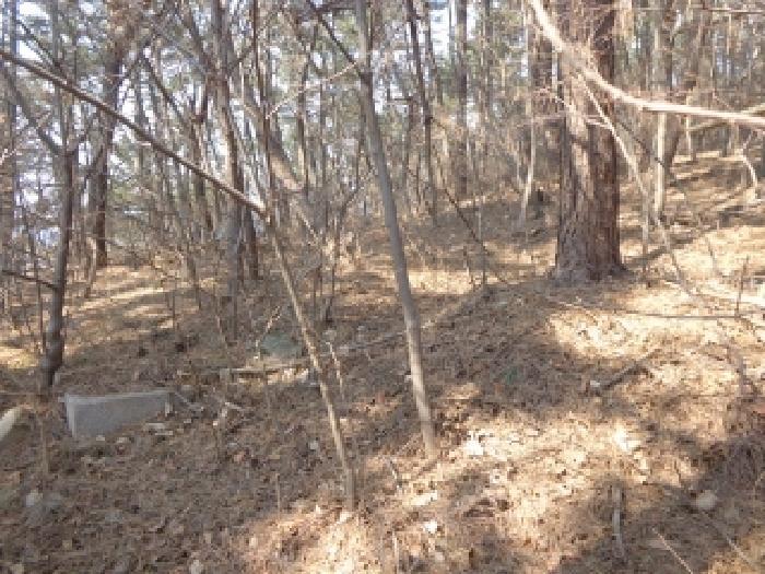 충청남도 서산시 팔봉면 고파도리 산3 임야 경매 사진 12