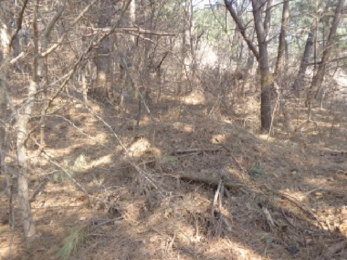 충청남도 서산시 팔봉면 고파도리 산3 임야 경매 사진 13