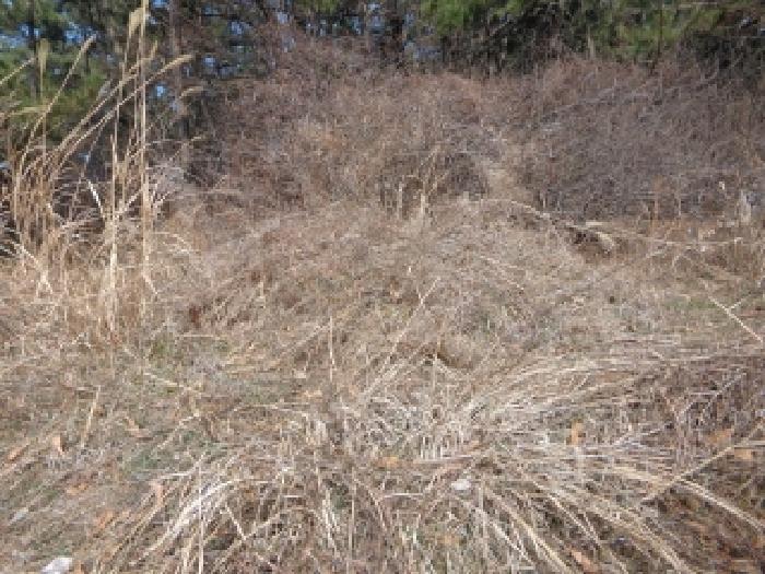 충청남도 서산시 팔봉면 고파도리 산3 임야 경매 사진 14