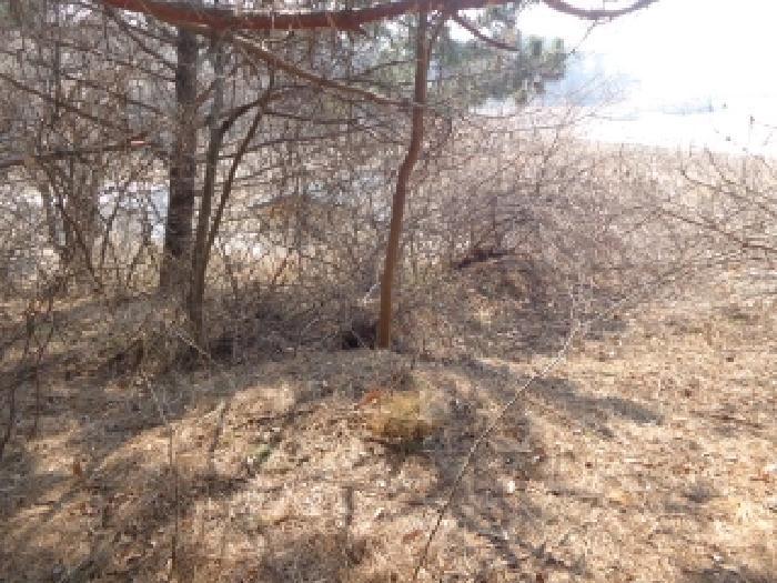 충청남도 서산시 팔봉면 고파도리 산3 임야 경매 사진 16