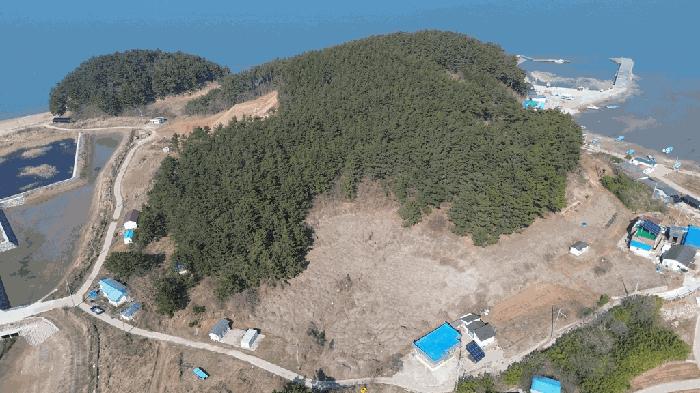 충청남도 서산시 팔봉면 고파도리 산3 임야 경매 사진 17