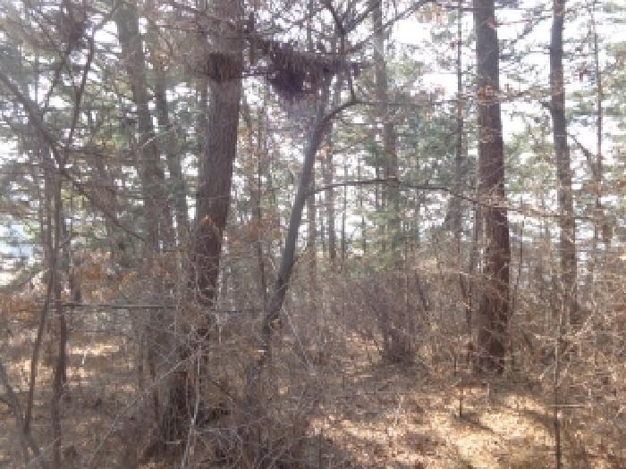 충청남도 서산시 팔봉면 고파도리 산3 임야 경매 사진 3