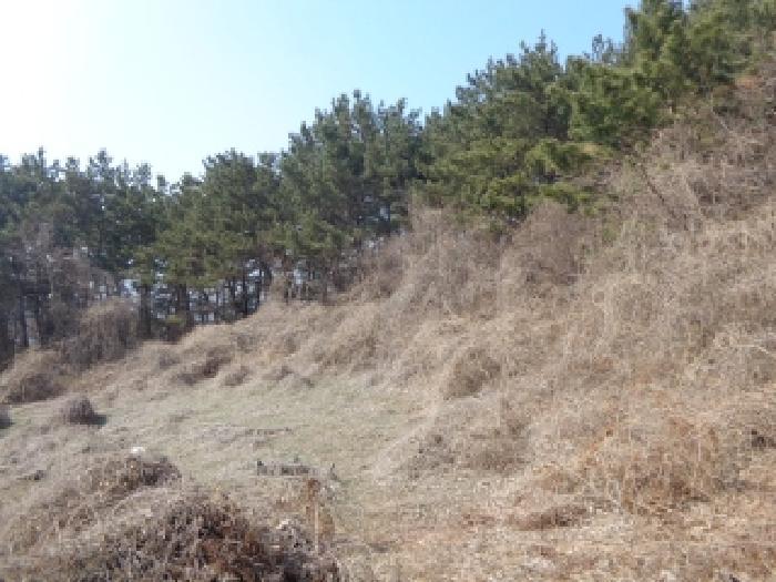 충청남도 서산시 팔봉면 고파도리 산3 임야 경매 사진 6