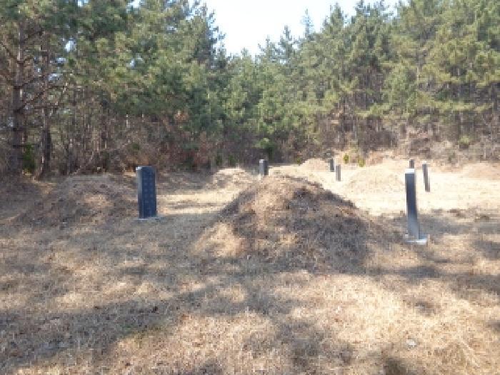 충청남도 서산시 팔봉면 고파도리 산3 임야 경매 사진 7
