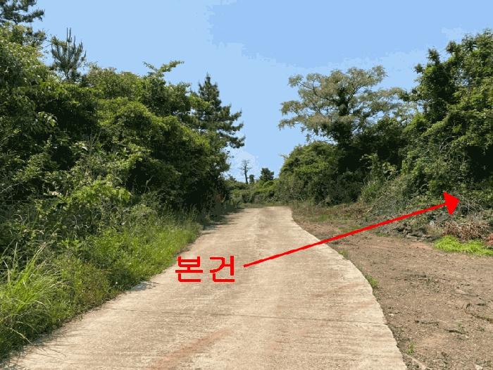 제주특별자치도 제주시 한경면 조수리 2801-4 임야 경매 사진 2