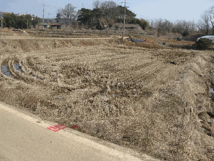 충청남도 당진시 송악읍 부곡리 389-2 답 경매 사진 1
