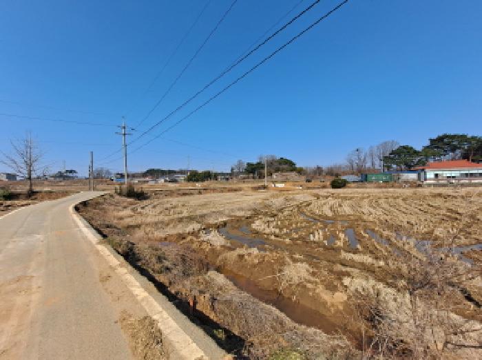 충청남도 당진시 송악읍 부곡리 389-2 답 경매 사진 3