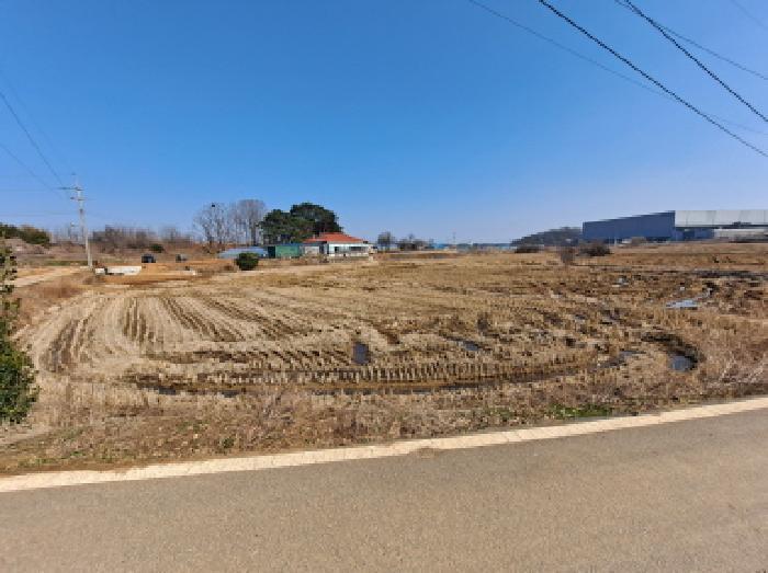 충청남도 당진시 송악읍 부곡리 389-2 답 경매 사진 4