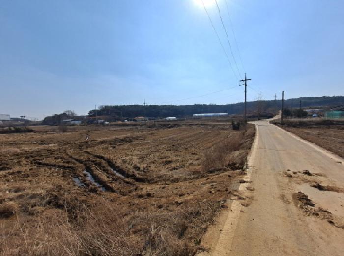 충청남도 당진시 송악읍 부곡리 389-2 답 경매 사진 6