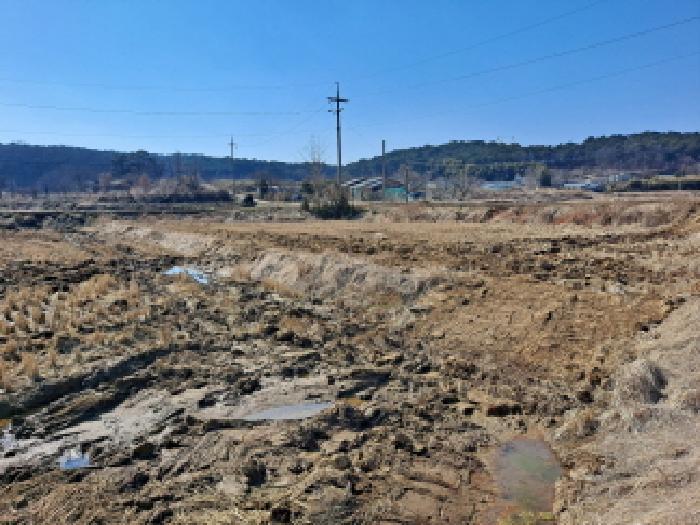 충청남도 당진시 송악읍 부곡리 389-2 답 경매 사진 7