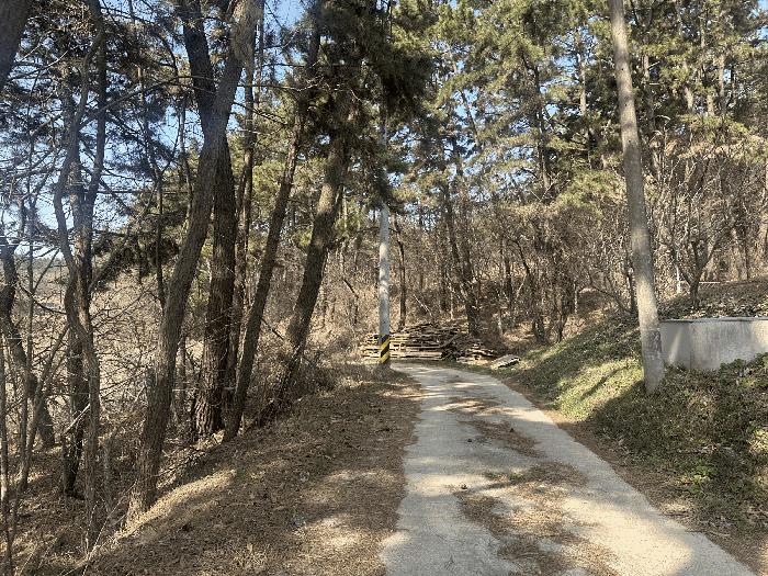 충청남도 서산시 대산읍 화곡리 981-18 임야 경매 사진 1