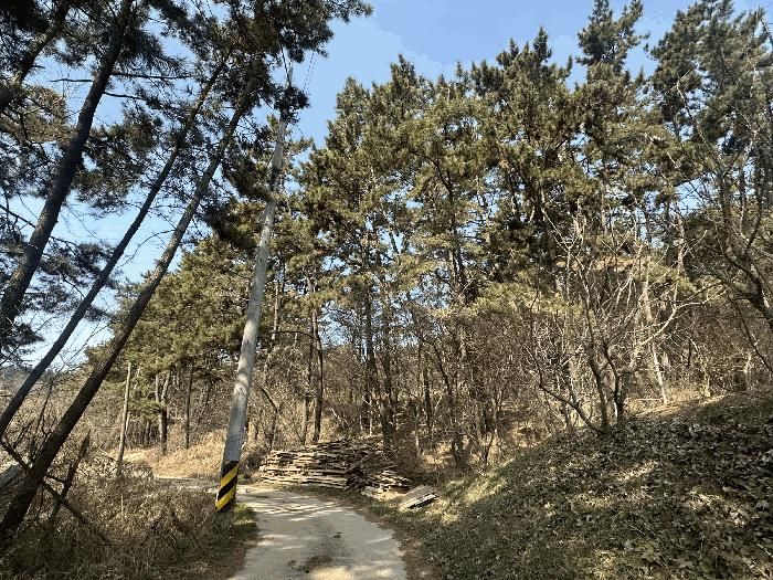 충청남도 서산시 대산읍 화곡리 981-18 임야 경매 사진 4