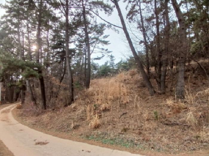 충청남도 서산시 대산읍 화곡리 981-18 임야 경매 사진 6