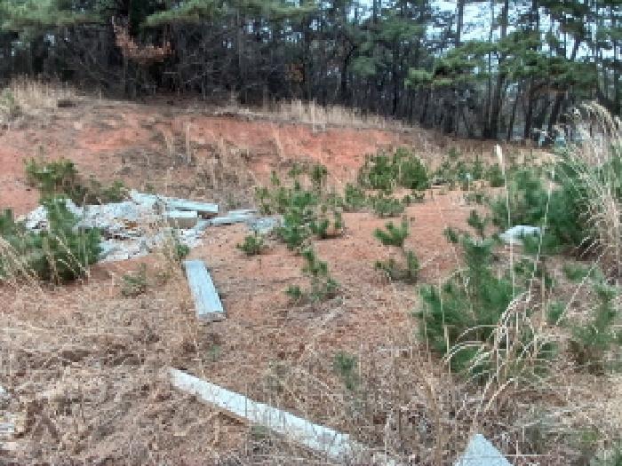 충청남도 서산시 대산읍 화곡리 981-18 임야 경매 사진 7