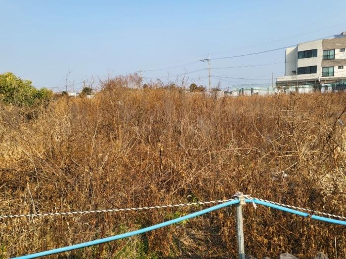 제주특별자치도 서귀포시 성산읍 수산리 1499 임야 경매 사진 5