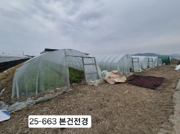 부산광역시 강서구 대저2동 5479 답 경매 사진 3