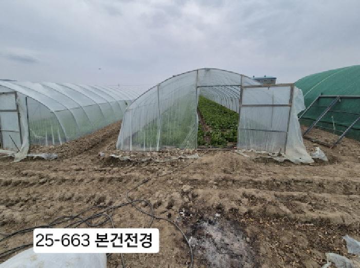 부산광역시 강서구 대저2동 5479 답 경매 사진 4