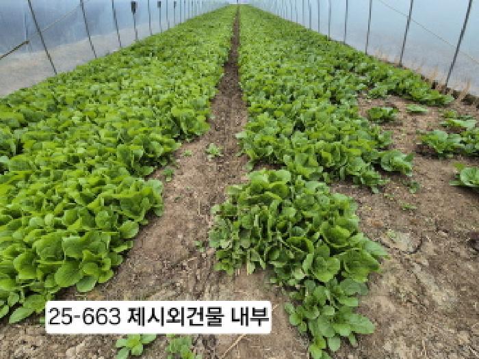 부산광역시 강서구 대저2동 5479 답 경매 사진 5