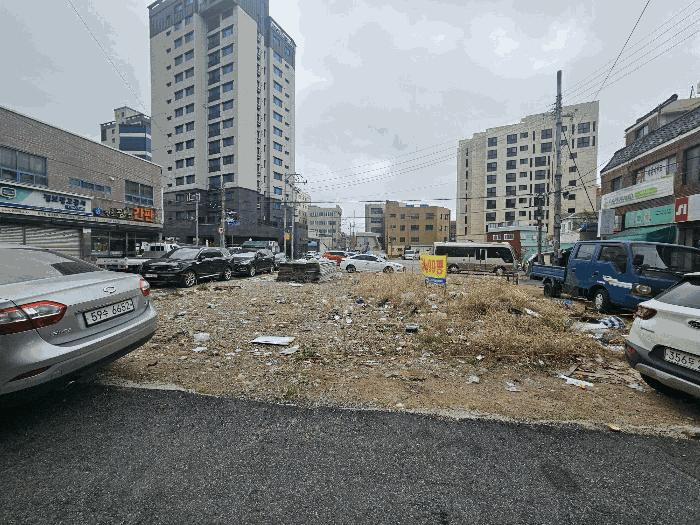 부산광역시 사상구 모라동 916 대지 경매 사진 5