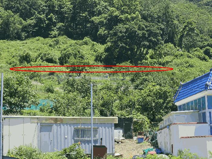 부산광역시 강서구 성북동 1228-2 전 경매 사진 2