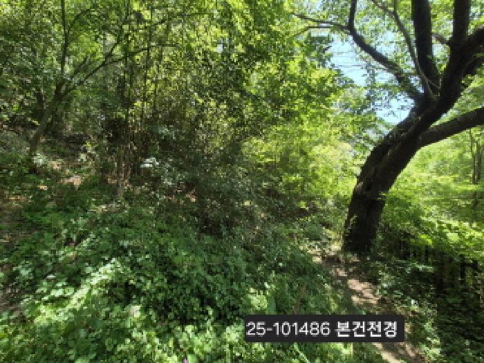 부산광역시 북구 덕천동 산118-1 임야 경매 사진 10