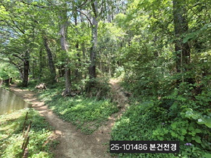 부산광역시 북구 덕천동 산118-1 임야 경매 사진 11