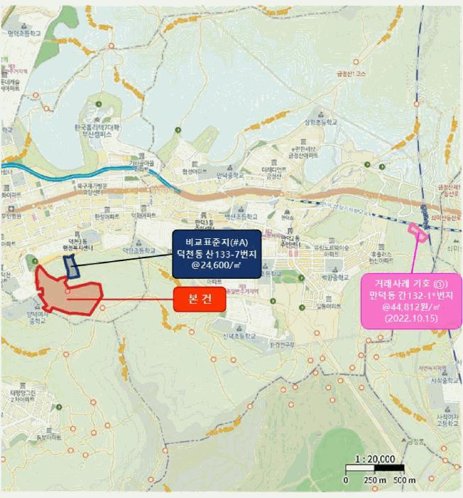 부산광역시 북구 덕천동 산118-1 임야 경매 사진 12