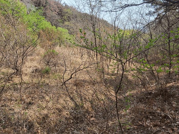 울산광역시 북구 가대동 675-2 답 경매 사진 2