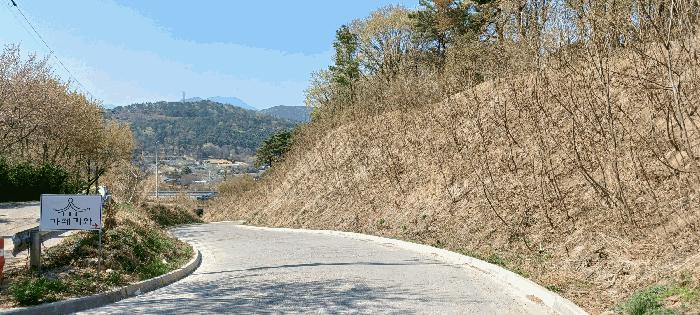 울산광역시 중구 성안동 산194-9 임야 경매 사진 1